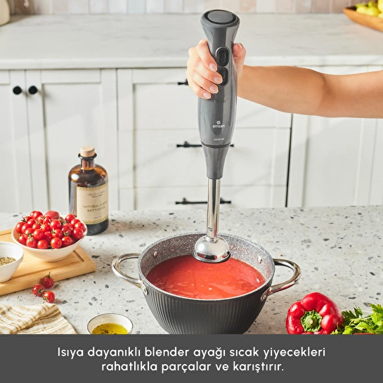 Emsan Pro Multimax 6 in 1 Çok Amaçlı Mutfak Robotu Space Gray 2000 W