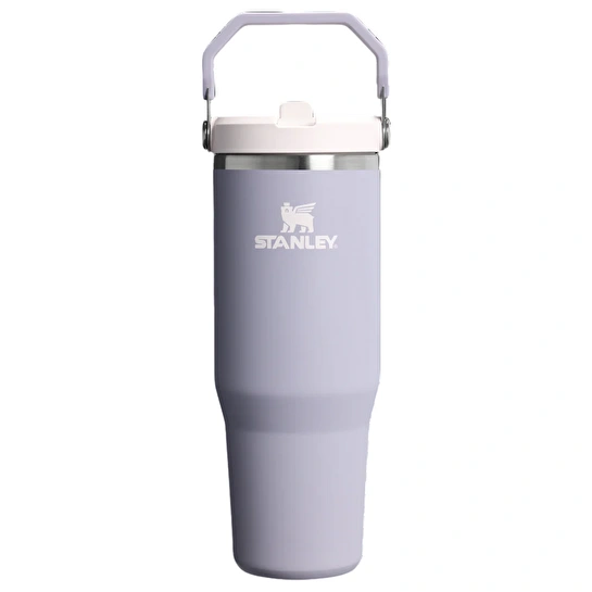 Stanley The IceFlow Flip Straw Pipetli Termos Bardak 890 Ml Purple Dust