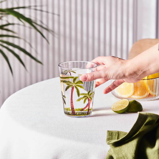 Karaca Palmera Akrilik Su Bardağı 430 ml Şeffaf 