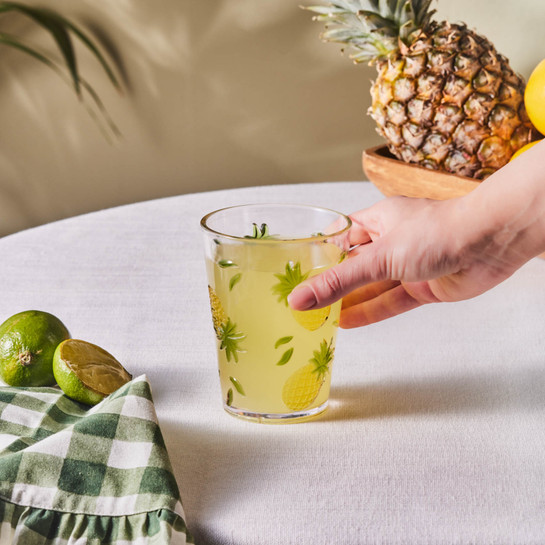 Karaca Pina Akrilik Su Bardağı 440 ml Şeffaf 