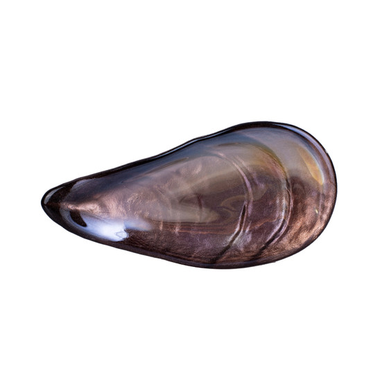 Karaca Lal Mussel 4lü Çerezlik