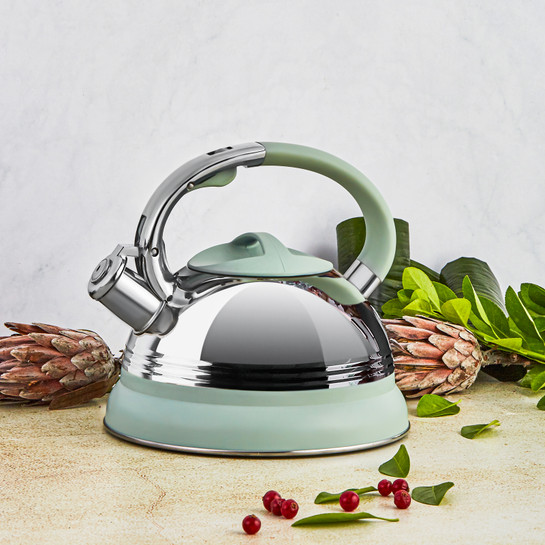 Karaca 3 Lt Mint Düdüklü Kettle 