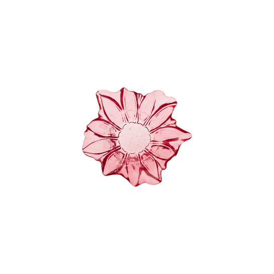 Slider 1
