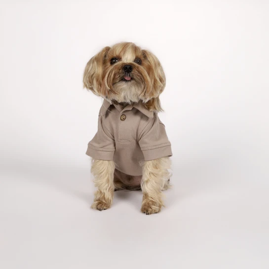 Karaca Home x Pati I Woof you T-Shirt S Beden Vizon