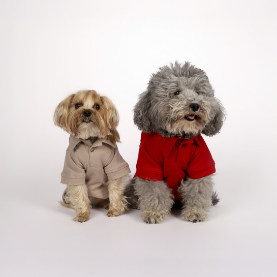 Karaca Home x Pati I Woof you T-Shirt M Beden Vizon