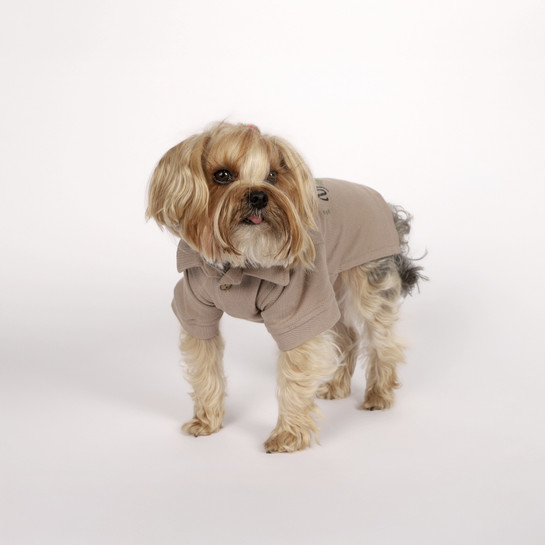 Karaca Home x Pati I Woof you T-Shirt M Beden Vizon