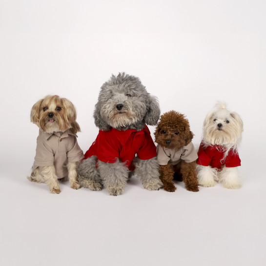 Karaca Home x Pati I Woof you T-Shirt L Beden Vizon