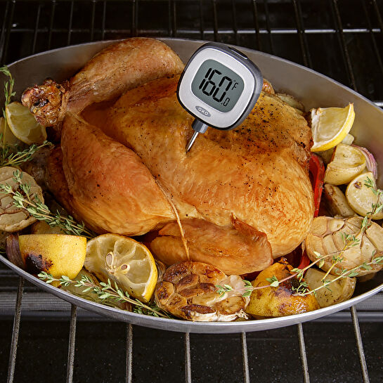 Oxo Dijital Termometre