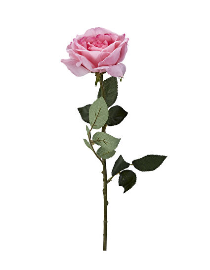 Karaca Home Pink Gül 67 cm