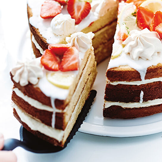 TUPPERWARE PASTA KESİCİ