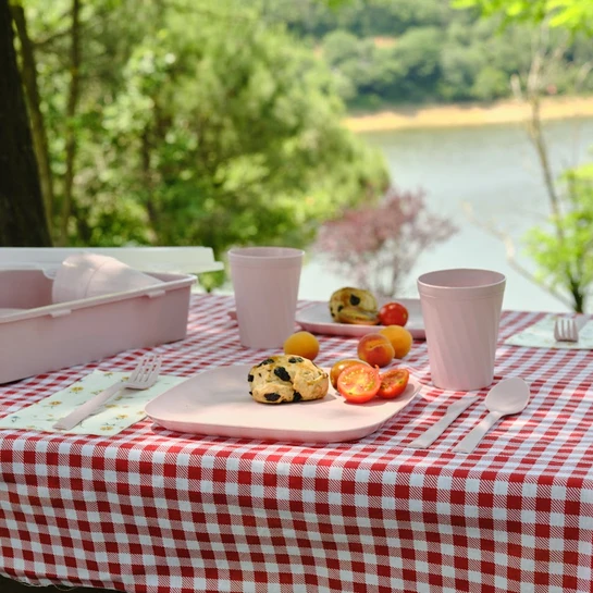 Karaca Container Rocca 32 Parça Piknik Seti Pembe