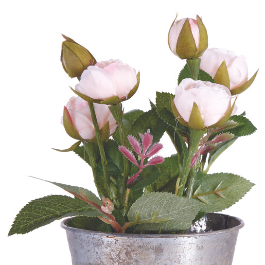 Karaca Home Erengül Pembe Metal Saksı 14x20 cm Ha4643pk
