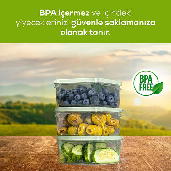 Vienev 6'lı 350 Ml Buzdolabı Dondurucu Organizer Mikrodalga Ve Difrize Uygun Saklama Kabı Mint