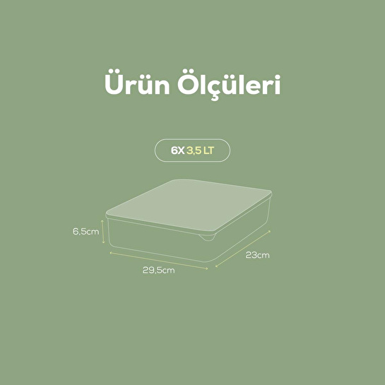 Vienev 6lı 3,5 Litre Buzdolabı Dondurucu Organizer Mikrodalga Ve Difrize Uygun Saklama Kabı Mint