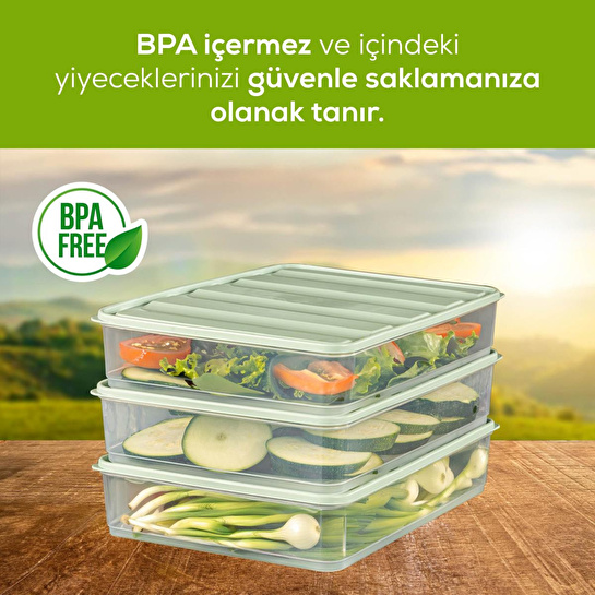 Vienev 6lı 3,5 Litre Buzdolabı Dondurucu Organizer Mikrodalga Ve Difrize Uygun Saklama Kabı Mint