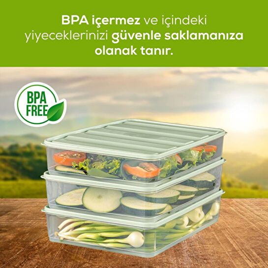 Vienev 4'lü 3,5 Litre Buzdolabı Dondurucu Organizer Mikrodalga Ve Difrize Uygun Saklama Kabı Mint