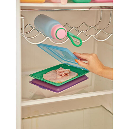 Rice Plastic Foode Boxes - Mavi