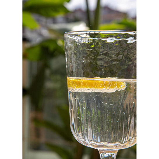 The Mia Steamy Şarap Kadehi 340 Ml