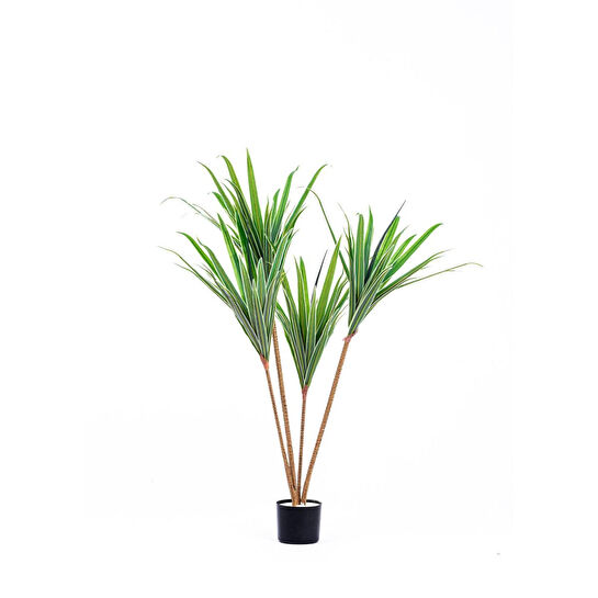 The Mia Dracaena Yapay Ağaç 4 Dallı 120 Cm