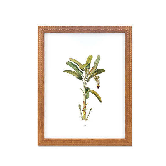 The Mia Vimini Fotoğraf Çerçevesi Kahverengi 40x50 Cm