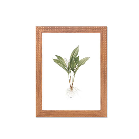 The Mia Vimini Fotoğraf Çerçevesi Kahverengi 30x40 Cm