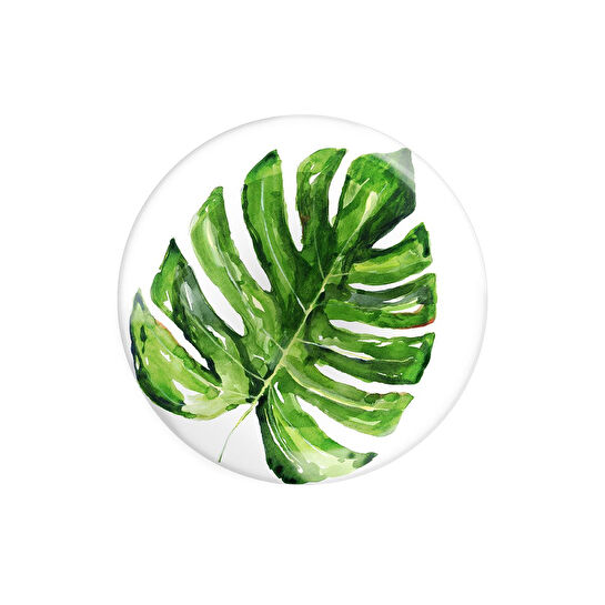 Fern&Co Exotic Collection Büyük Tabak 4 Lü Set