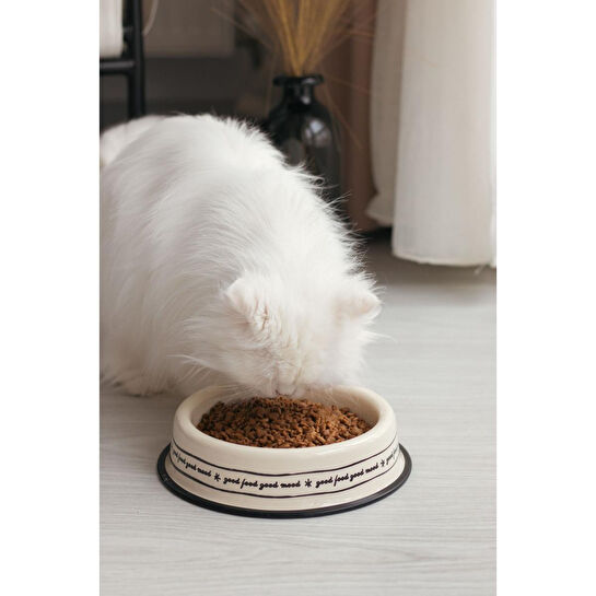 Emaylab Emaye Kedi Köpek Mama Ve Su Kabı Mood