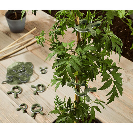 Tchibo Bitki Mandalı, 20 Adet