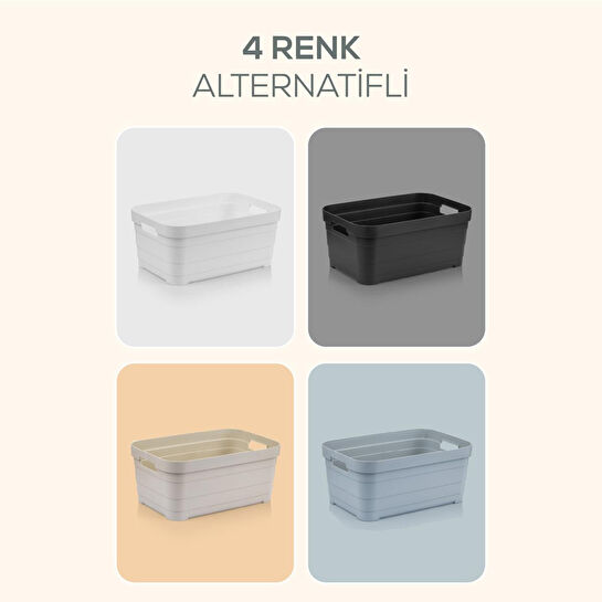 Vienev 4'lü 2,8 Litre Saklama Kutusu Antrasit