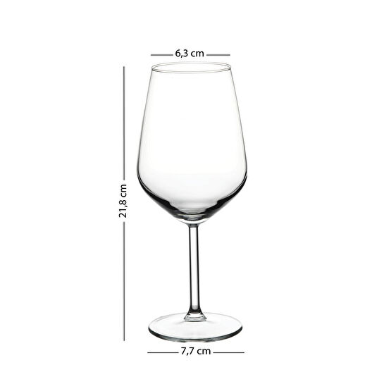 Rakle Dragonfly 4'lü Su Kadehi Seti 490 Cc