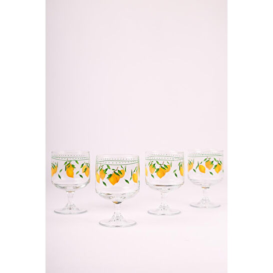 Rakle Bodrum 4'lü Dondurmalık Seti 300 cc