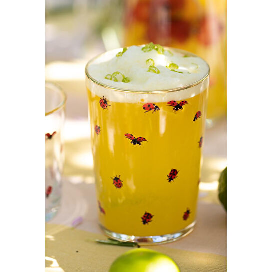 Rakle Lady Bird 4'lü Meşrubat Bardağı Seti 510 Cc