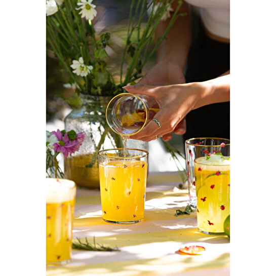 Rakle Lady Bird 4'lü Meşrubat Bardağı Seti 510 Cc