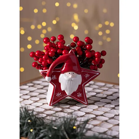 The Mia Dekoratif Yıldız Vazo 15x8x14 Cm