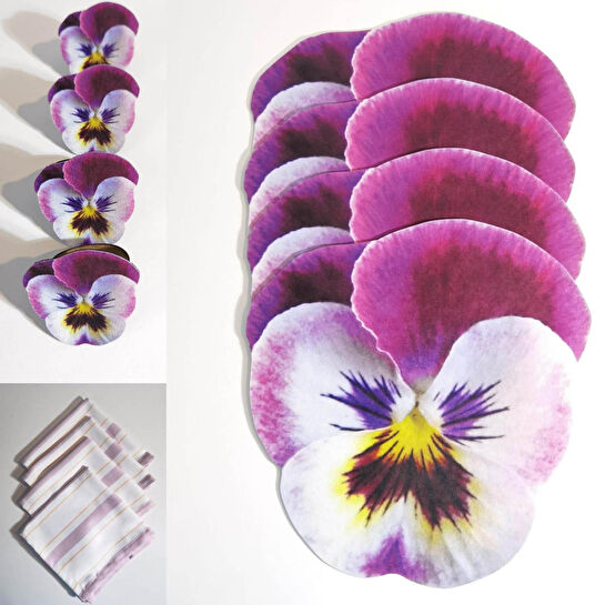 Maxxdeco 12 Parça Servis Seti-12082