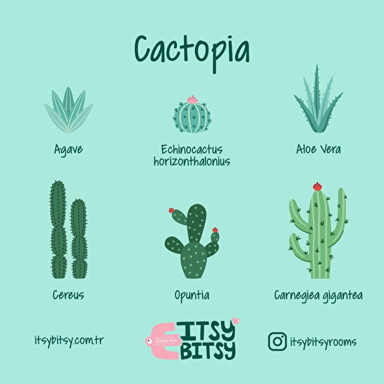 Itsy Bitsy Kids Cactopia Tek Kişilik Çarşaf Seti, Çok Renkli, 90x190cm