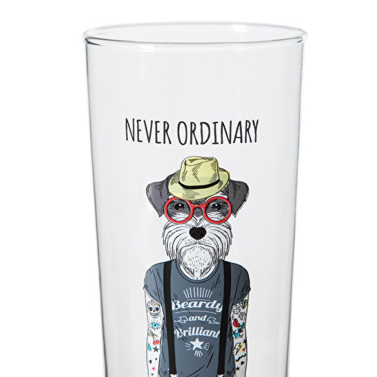 Mudo Home Dog Bi̇ra Bardaği 500 Cc