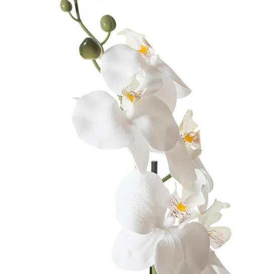 Mudo Home Riva Saksili Orki̇de 53 Cm