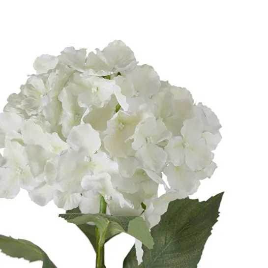 Mudo Home Single Ortanca Çi̇çek Beyaz 54cm