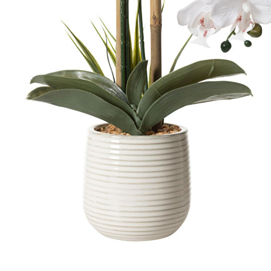 Mudo Home Riva Saksili Orki̇de 60 Cm