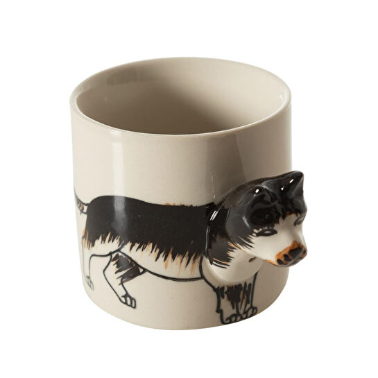 Mudo Home Dog Fi̇ncan 100 Ml