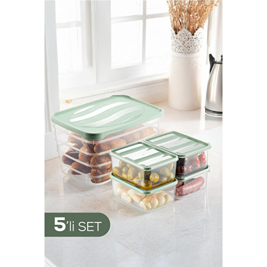 Vienev 5'li Set Dondurucu Ve Mikrodalgaya Uygun Buzdolabı Düzenleyici 1x(5 Litre) 4x(775 Ml) Mint Yeşili