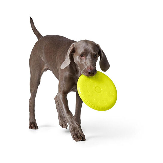 Tchibo Köpekler İçin Frizbi