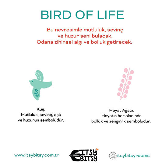 Itsy Bitsy Kids Bird Of Life Tek Kişilik Çarşaf Seti, Mint Yeşili, 90x190cm