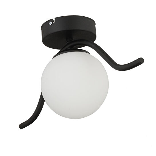 Apliqa Zeyna Siyah Tekli Plafonyer Modern Mutfak Retro Salon Avize