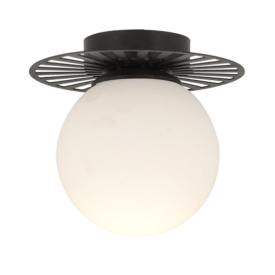 Apliqa Rakes Siyah Modern Plafonyer Genç Odası Mutfak Yatak Odası Avize