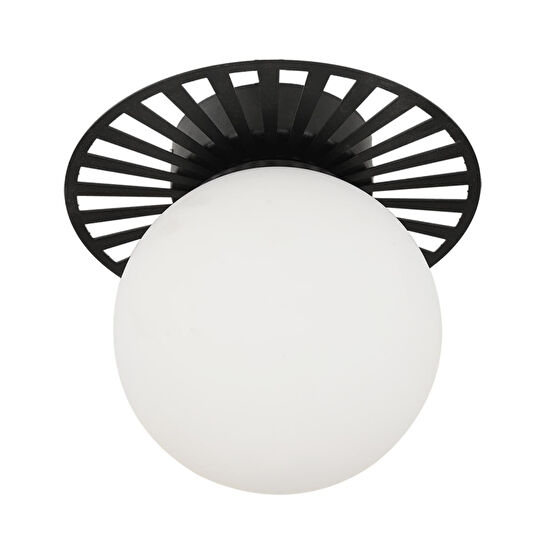 Apliqa Rakes Siyah Modern Plafonyer Genç Odası Mutfak Yatak Odası Avize