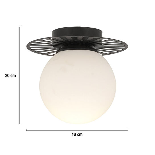 Apliqa Rakes Siyah Modern Plafonyer Genç Odası Mutfak Yatak Odası Avize