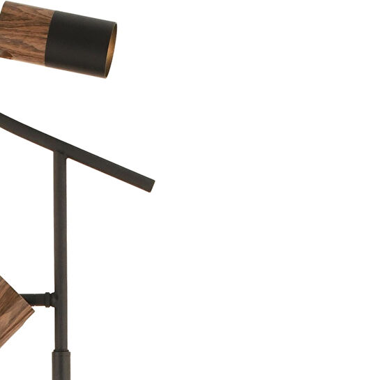 Apliqa Darin 2li Modern Spot Başlıklı Modern Oturma Odası Köşe Salon Lambader