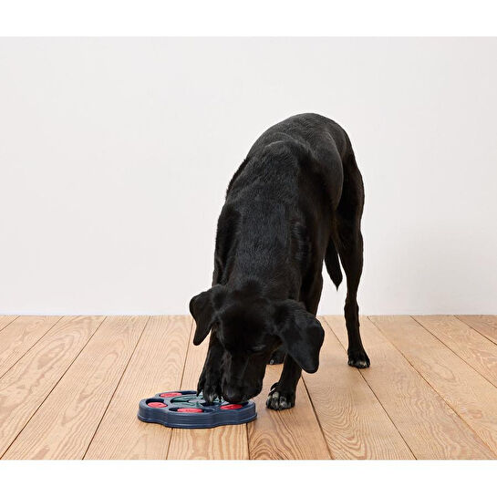 Tchibo Köpek İçin Akıl Oyunu